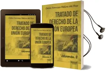 Descargar AudioLibro Tratado de Derecho de la Unión Europea Vol. ii de Carlos Francisco Molina Del Pozo año 2015