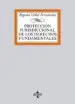 AudioLibro Proteccion Jurisdiccional de los Derechos Fundamentales de Begoña Vidal Fernandez