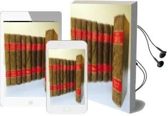 Descargar AudioLibro Derecho Civil Español, Comun y Foral, Tomo 6/2 de Jose Castan Tobeñas año 2015