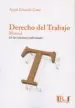 AudioLibro Derecho del Trabajo: Manual de las Relaciones Individuales de Angel Eduardo Gatti