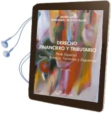 Descargar AudioLibro Derecho Financiero y Tributario: Parte Especial: Teoria, Practica , Formulas y Esquemas de Maria Fernandez De Soto Blass año 2015