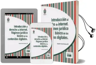 Descargar AudioLibro Introducción al Derecho de Internet. Régimen Jurídico Básico de l os Contenidos Digitales de Alejandro Puerto Mendoza año 2015