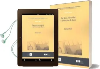 Descargar AudioLibro Big Data, Privacidad y Protección de Datos de Elena Gil año 2016