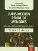 AudioLibro Jurisdiccion Penal de Menores de David Vallestín Pérez