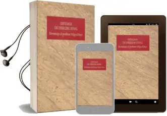 Descargar AudioLibro Estudios de Derecho Penal (Homenaje al Profesor Miguel Bajo) de Silvina Bacigalupo Saggese; Feijoo año 2016