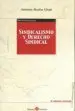 AudioLibro Sindicalismo y Derecho Sindical (6ª Ed.) de Antonio Baylos Grau