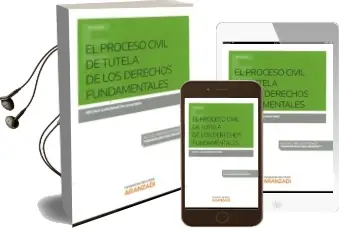 Descargar AudioLibro El Proceso Civil de Tutela de los Derechos Fundamentales de Regina Garcimartin Montero año 2016