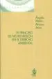 AudioLibro El Principio de no Regresion en el Derecho Ambiental de Angela Maria Amaya Arias