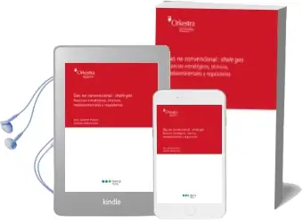 Descargar AudioLibro Gas no Convencional: Shale gas de Eloy (Coord.) Alvarez Pelegry año 2016