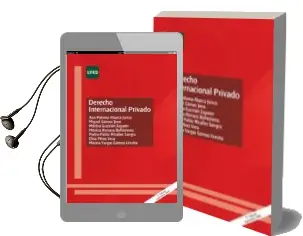 Descargar AudioLibro Derecho Internacional Privado 2016 (2ª Ed.) de Ana Paloma Abarca Junco año 2016