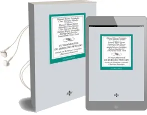 Descargar AudioLibro Fundamentos de Derecho Privado (3ª Ed.) de Manuel Rivera Fernandez año 2016