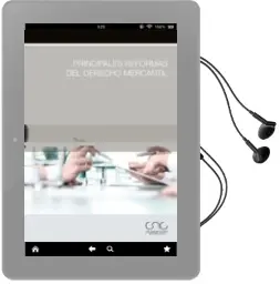 Descargar AudioLibro Principales Reformas del Derecho Mercantil de Varios Autores año 2016