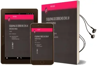 Descargar AudioLibro Esquemas de Derecho Civil iv Derecho de Familia Tomo Xxxvii (3ª ed) de Ana Cañizares Laso Carmen Sánchez Hernández Rocío Diéguez Oliva año 2017