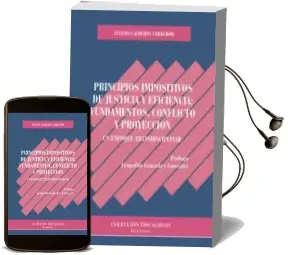 Descargar AudioLibro Principios Impositivos de Justicia y Eficiencia: Fundamentos, con Flicto y Proyec de Zulema Calderón Corredor año 2017