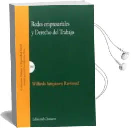 Descargar AudioLibro Redes Empresariales y Derecho del Trabajo de Wilfredo Sanguineti Raymond año 2017