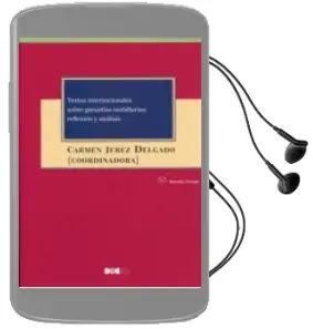 Descargar AudioLibro Textos Internacionales Sobre Garantías Mobiliarias: Reflexión y Análisis de Carmen Jerez Delgado año 2017