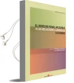 Descargar AudioLibro El Derecho Penal Aplicable a las Relaciones Laborales de Juan M. Terradillos Basoco año 2017