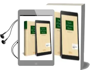 Descargar AudioLibro Derecho del Comercio Electrico de Nuria Encinar Arroyo año 2017