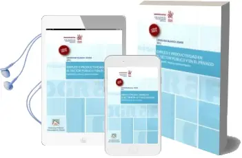 Descargar AudioLibro Empleo y Productividad en el Sector Público y en el Privado de Blasco Jover Carolina año 2017