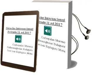 Descargar AudioLibro Derecho Internacional Privado 11ª ed 2017 de Carlospalao Moreno, Guillermoiglesias Buhigues, Jose Luis Esplugues Mota año 2017