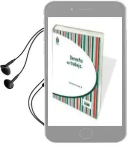 Descargar AudioLibro Derecho del Trabajo (5ª Ed.) de Diego Megino Fernández año 2017