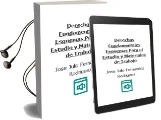 Descargar AudioLibro Derechos Fundamentales. Esquemas para el Estudio y Materiales de Trabajo de Jose Julio Fernandez Rodriguez año 2017