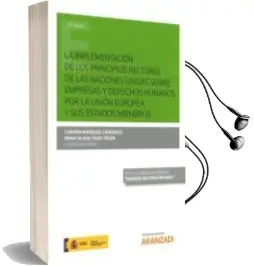 Descargar AudioLibro La Implementación de los Principios Rectores de las Naciones Unidas Sobre Empresas y Derechos Humanos por la Unión Europea y sus Estados Miembros de Carmen Marquez Carrasco año 2017