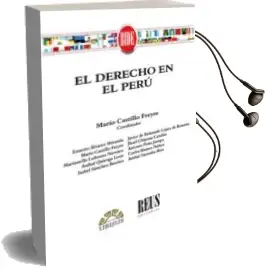 Descargar AudioLibro Derecho en Peru de Mario Castillo Freyre año 2018
