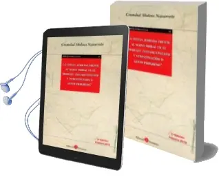 Descargar AudioLibro Tutela Judicial Frente al Acoso Moral en el Trabajo. Estancamient o y Subestimacion o Lento Progreso. de Cristobal Molina Navarrete año 2018