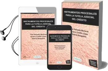 Descargar AudioLibro Instrumentos Procesales para la Tutela Judicial de Credito de Pilar Peiteado Mariscal año 2018