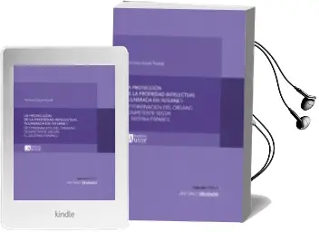 Descargar AudioLibro La Protección de la Propiedad Intelectual Vulnerada en Internet: Determinación del Órgano Competente Según el Sistema Español de Patricia Llopis Nadal año 2018