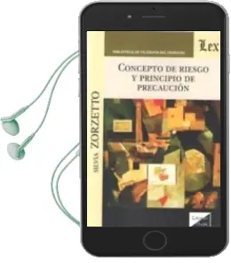 Descargar AudioLibro Concepto de Riesgo y Principio de Precaucion de Silvia Zorzetto año 2018
